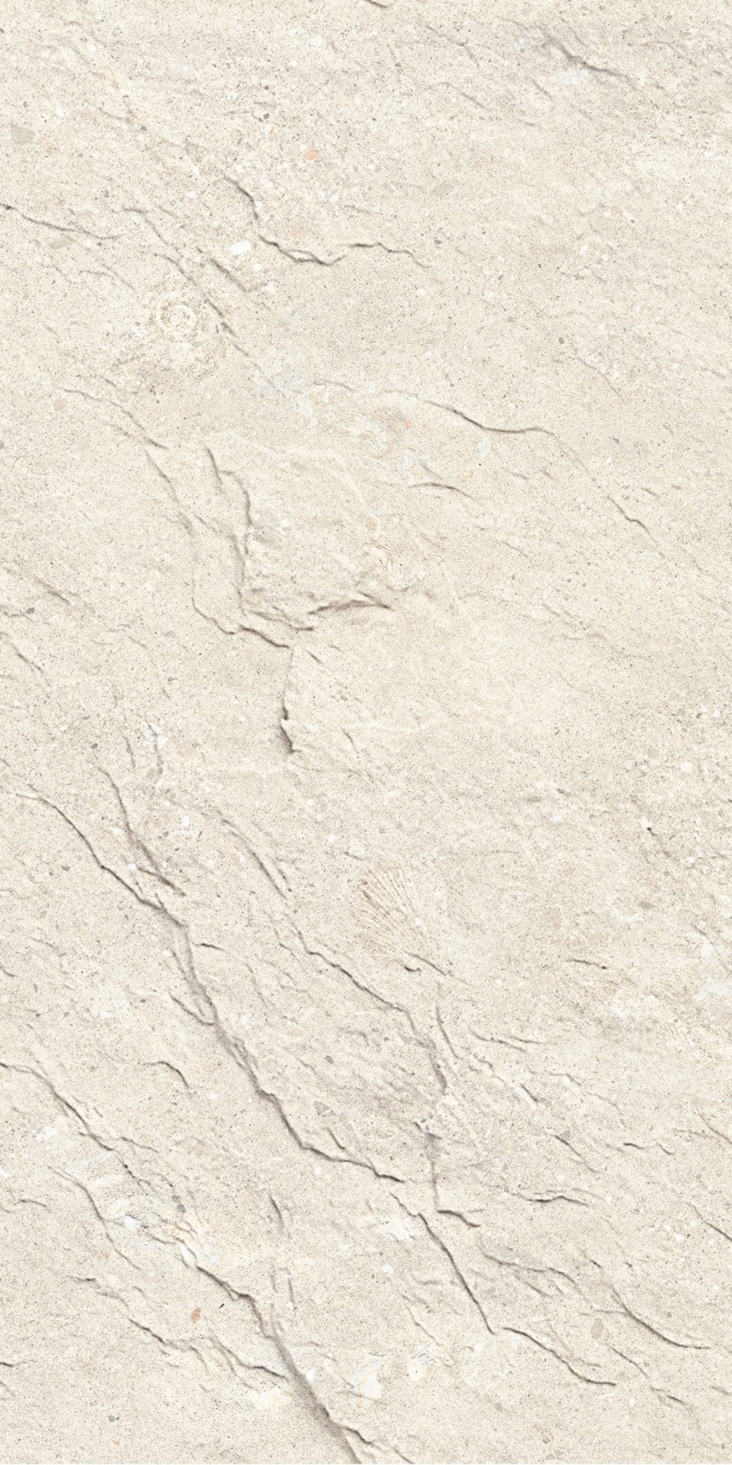 Mount Celestial-Shellfish Limestone Light Beige