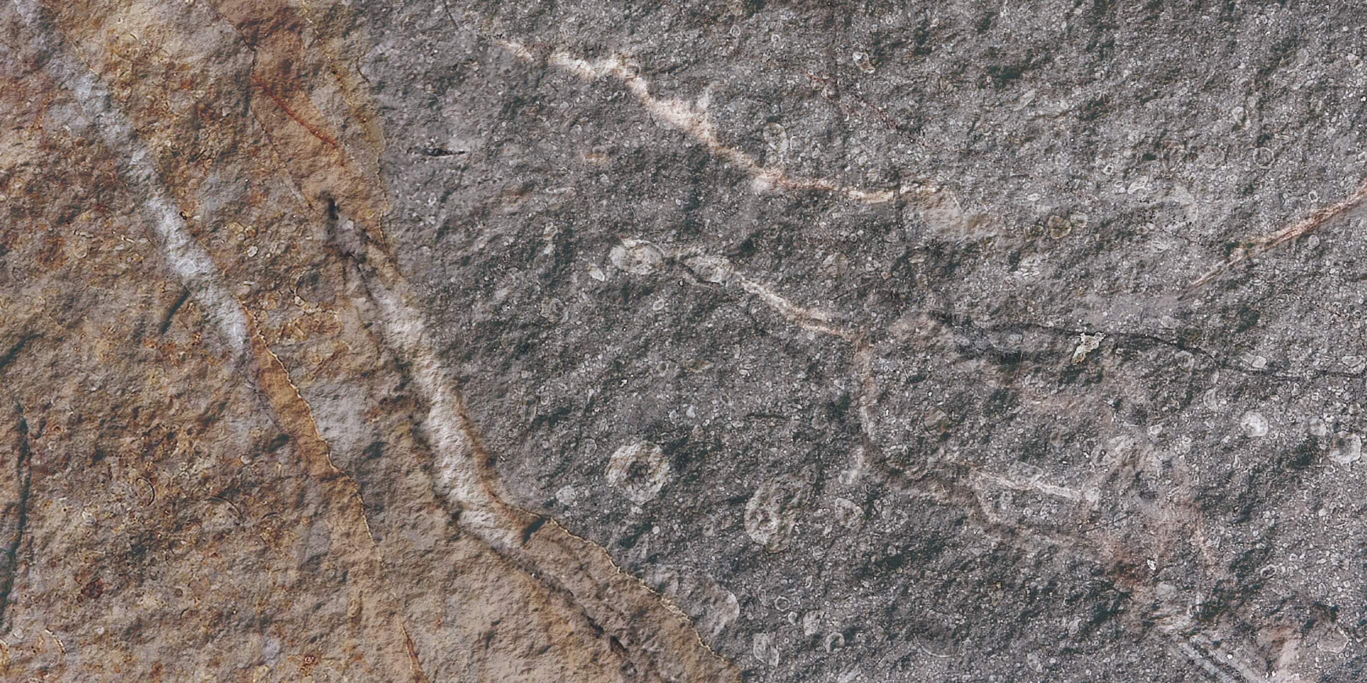 Rock Mottle Brown