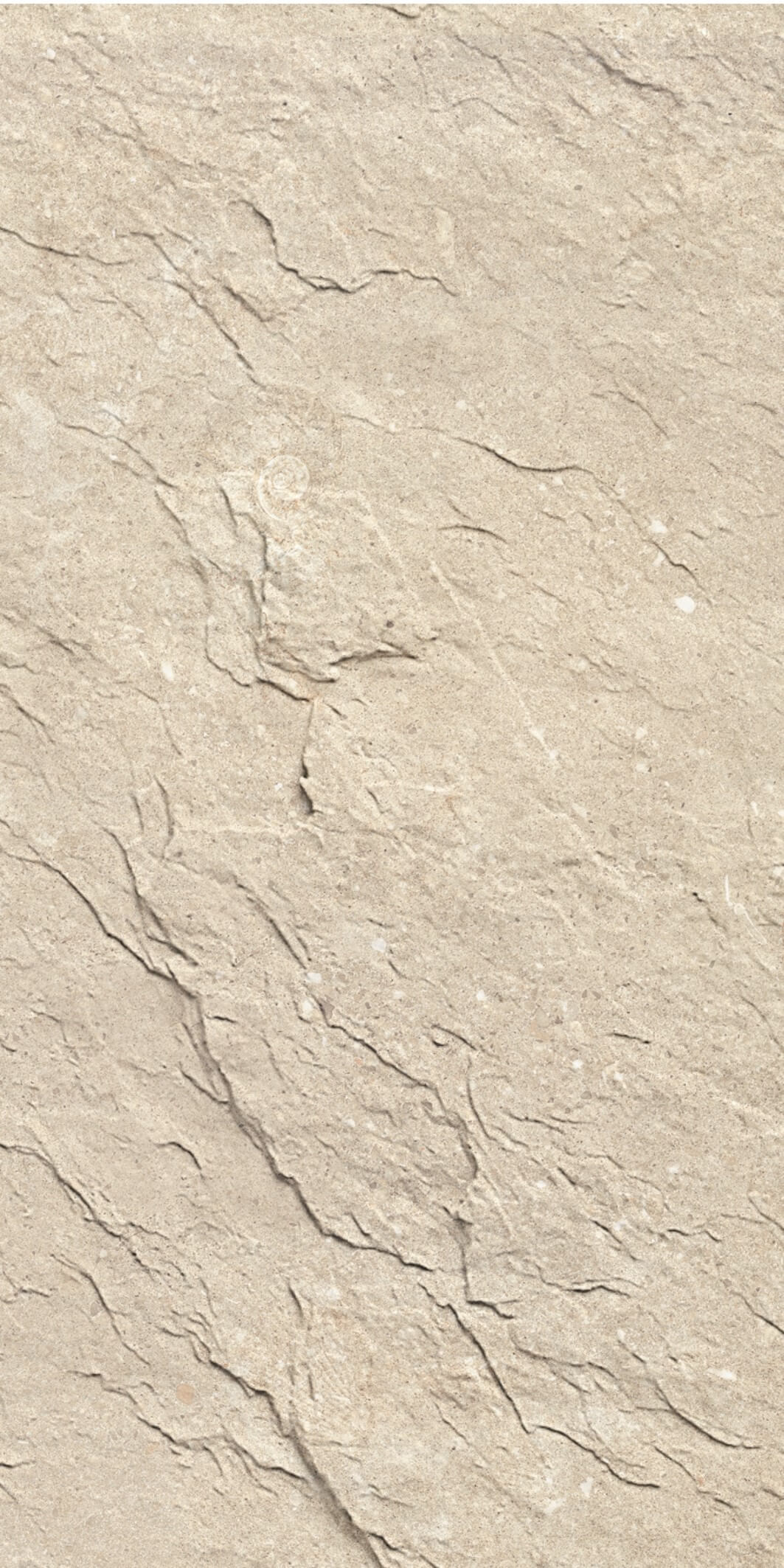 Mount Celestial-Shellfish Limestone Medium Yello
