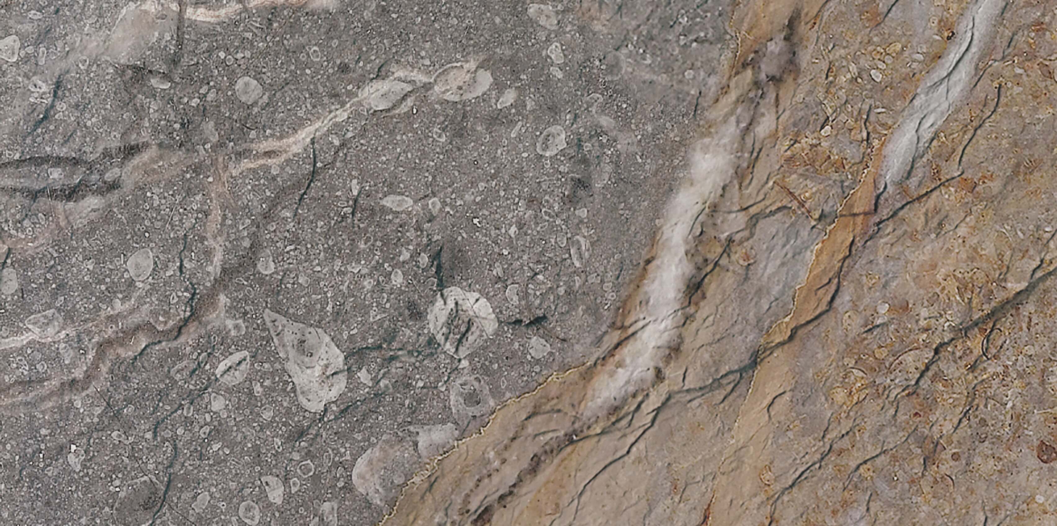 Rock Mottle Brown