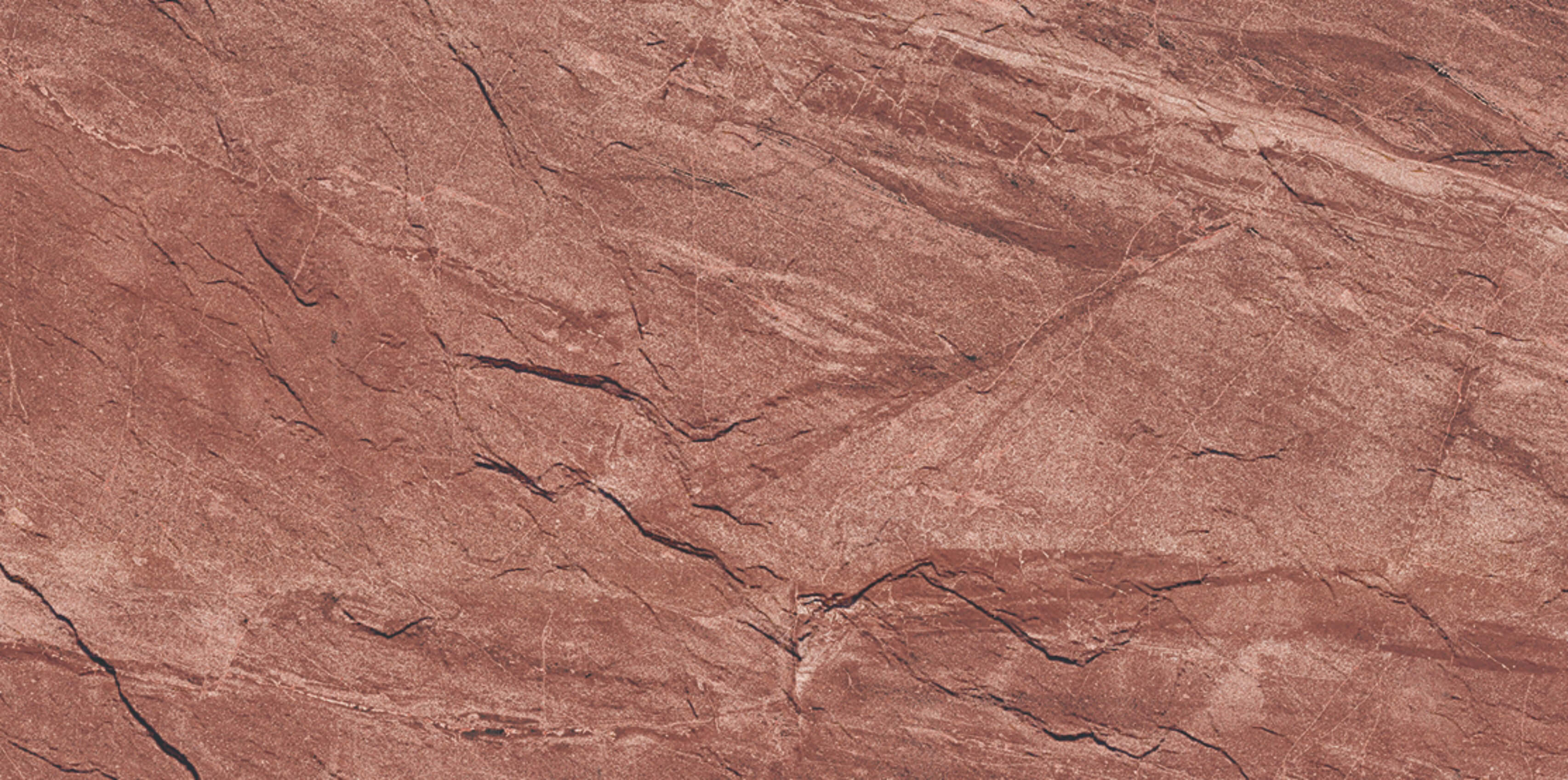 Mount Lion Reddish Brown