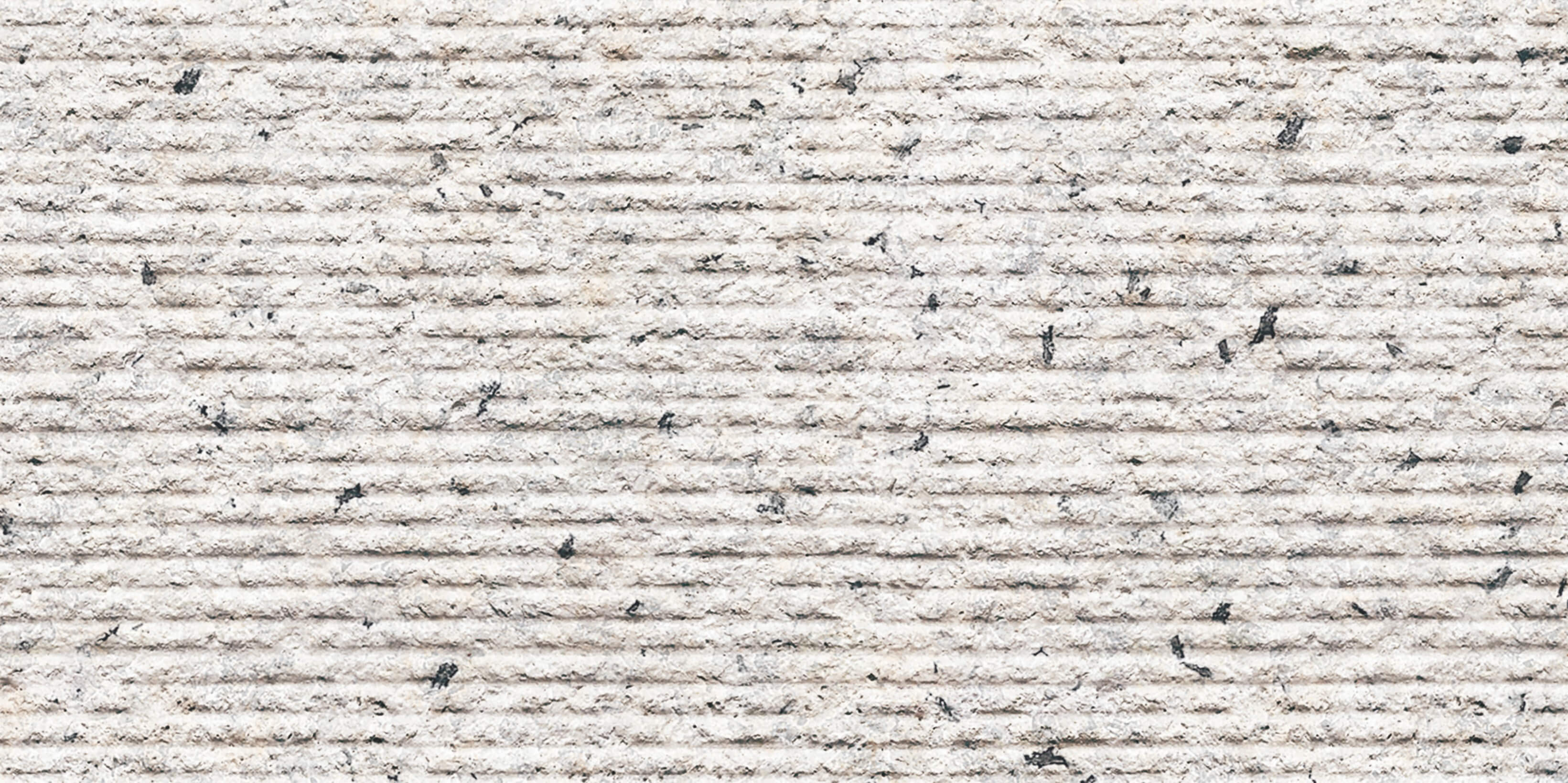 New White Sesame