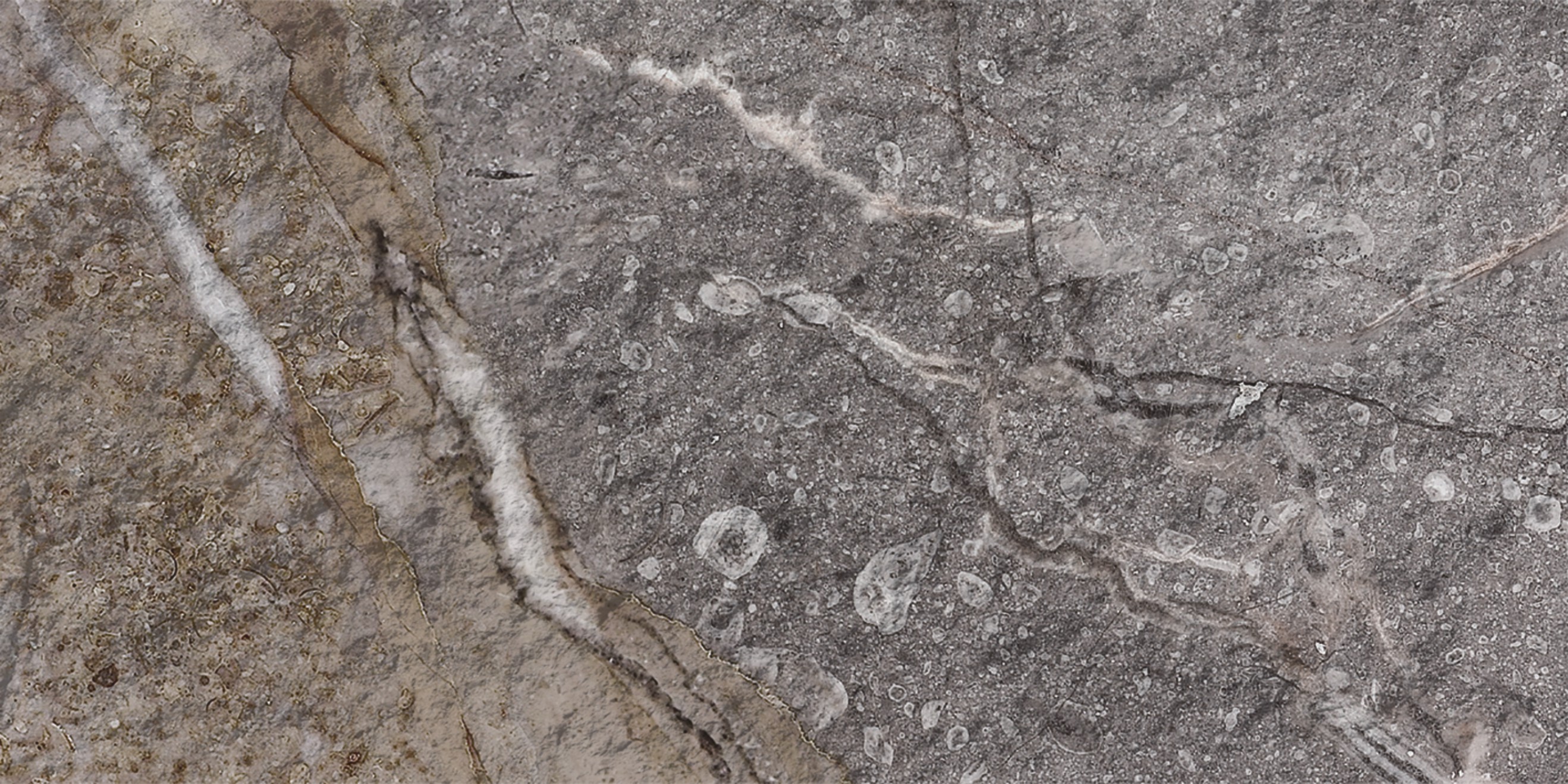 Rock Mottle Brown